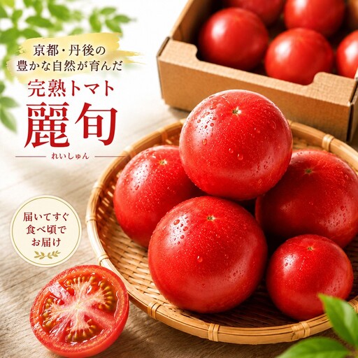 【収穫期限定】京都丹後産　完熟トマト　約1.8kg 京都丹後産 完熟トマト「麗旬」