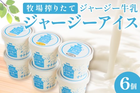 【牧場 アイスクリーム】牧場直送！搾りたて牛乳から作る濃厚ミルクのジャージー アイスクリーム 6個セット ＜ミルクアイス・チョコアイス・抹茶アイスなど アイスクリーム詰め合わせ＞