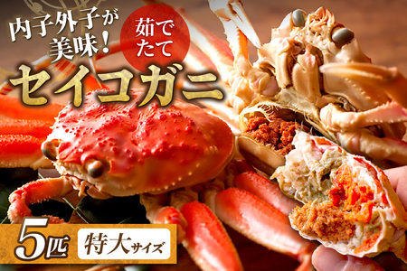 [蟹の匠 魚政]内子外子が美味! 茹でたて セイコガニ(セコ蟹)(香箱ガニ)(こっぺ)特大サイズ 5匹セット ボイル蟹・香箱蟹・セイコ蟹・セコガニ