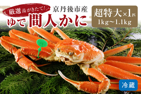 かに卸問屋がお届け・自社釜ゆで！幻のゆで間人ガニ 1ｋｇ～1.1ｋｇ超 特大サイズ（11月発送）／北畿水産