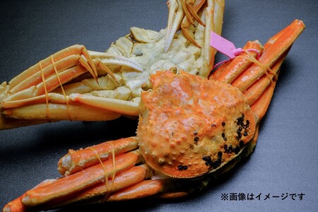 [蟹の匠 魚政]ボイル済み 急速冷凍 茹でズワイガニ 600g級 (茹で上げ後500g)1匹