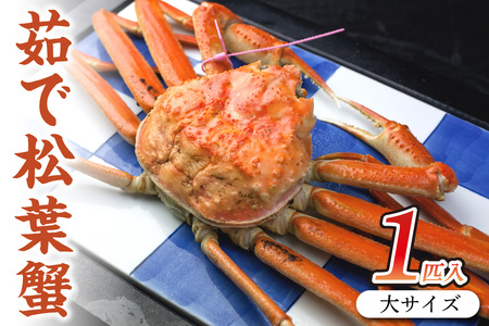 カニ 松葉ガニ/日本海産 ブランド蟹 茹で松葉蟹 [厳選] 大サイズ matubakani900 松葉ガニ カニ 茹でカニ ボイルカニ 茹で松葉ガニ カニ カニ カニ タグ付き