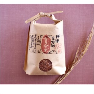 歴史ある地で復活した古代米[赤米玄米](300g×2袋)