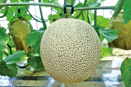 ys\^ʌzsOY Z[k 2ʓi2026N7`j