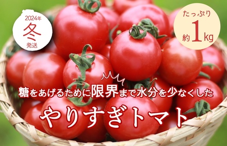トマト農家のこだわり高糖度トマト「やりすぎトマト」[先行予約]やりすぎトマト(4パック計約1kg)(冬季)(2024年12月上旬以降発送) トマトスープやトマト料理に
