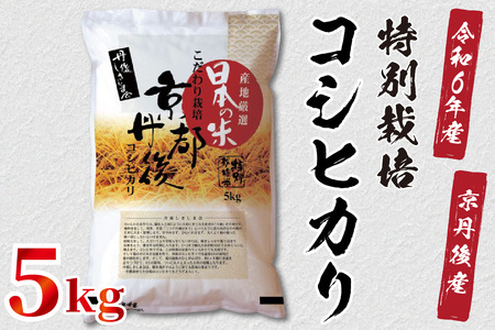 令和6年産 京都丹後産 特別栽培米コシヒカリ5kg(5kg×1袋)