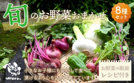 旬のお野菜おまかせ8種セット（2〜3人）