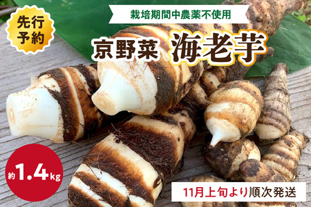 【先行予約】京都伝統野菜　海老芋　1.4K　栽培期間中農薬・化学肥料不使用