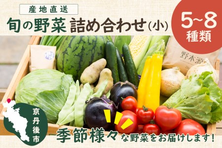 京丹後産・旬の野菜 5〜8種詰め合わせ(小)野菜セット/野菜詰め合わせ 少量 お試し