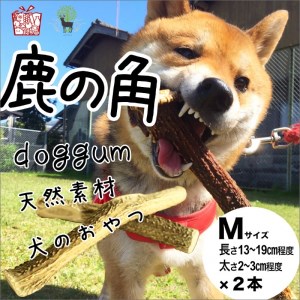 鹿の角（Ｍサイズ×2本）京都丹後産 ペット犬用おやつ ドッグガムのレビュー | ふるさと納税ランキングふるなび