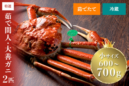 y11~12z① 䥂ŊԐlKjPKj  TCY (600~700g) 2CZbg | YCKj Jj p