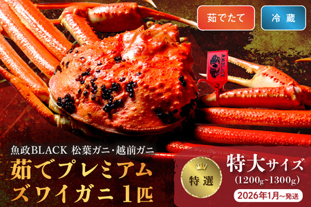 カニ ボイルガニ /[蟹の匠 魚政]茹で プレミアムズワイガニ 魚政BLACK(松葉ガニ・越前ガニ)特撰 特大サイズ(1200〜1300g) 1匹 (2026年1月〜発送) カニ 蟹 ズワイガニ ズワイ ブランド 松葉蟹 松葉ガニ 茹で ボイル タグ付き 越前蟹 越前 味噌 味噌