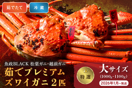 yȈ z䥂Ł@v~AYCKj BLACKitKjEzOKjj TCYi1000`1100gj 2CZbg@ (2026N1`) I