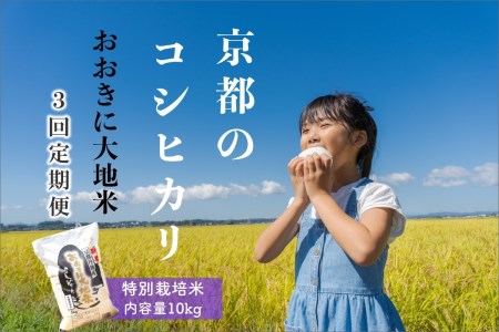 [定期便3か月]特別栽培米コシヒカリ「おおきに大地米」10kg 令和5年産