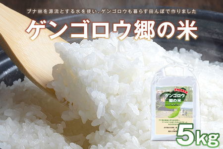 [先行予約]2023年産 京丹後産生物多様性米コシヒカリ「ゲンゴロウ郷の米」5kg箱入