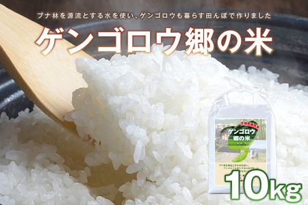 米 新米 2025年産 京丹後産生物多様性米コシヒカリ 10kg