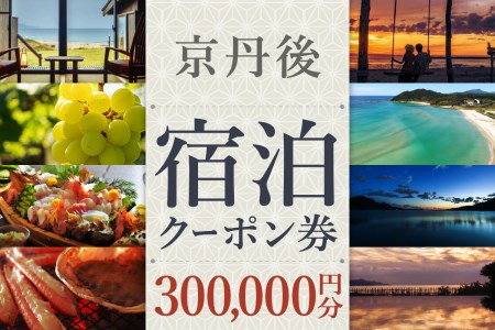 京都【京丹後市観光公社】京丹後宿泊クーポン 25枚【海の京都】京都・京丹後の旅行クーポン＜ 80軒以上宿から選べる＞旅行クーポン・温泉 宿泊券・温泉宿・京都府・旅行券・高級宿・高級ホテル・料理旅館