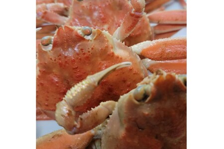 Jj {CKj^䥂ŃZRKjiRbyKjj150gO×2tZbg Jj I YCI YCKj ZRKj ZRI RbyKj RbyI Oq q IX JjX 䥂ŃKj 䥂ŊI {CK