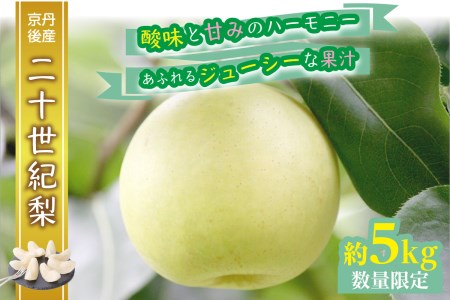 [先行予約/数量限定20]京都丹後産 二十世紀梨 5kg(2024年9月〜発送)
