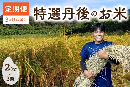 女将一押し「特選丹後のお米」 定期便 2kg×3か月 毎月お届け