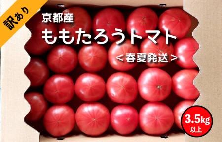 [高糖度トマト]訳ありトマト ももたろうトマト(春夏発送) 3.5キロ以上 不揃いトマト 農家直送トマト