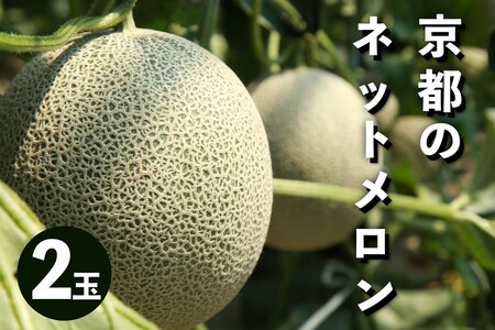 �������^�ʕ��y��s�\��^���ʌ���50�z�A�[���X�������i�l�b�g�������j 2�ʁi2026�N7����{�`�����j�������E�ʕ��E�t���[�c