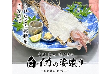 [先行予約]京都 榮元 海工房の白イカの姿造り