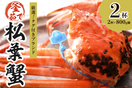 Jj {CKj ^yIII^Otuhz䥂ŏt NxQA䥂łɂĂ͂II 800g×2t Jj I YCKj YCI uhI tI tKj 䥂ŏtKj 䥂ŏ