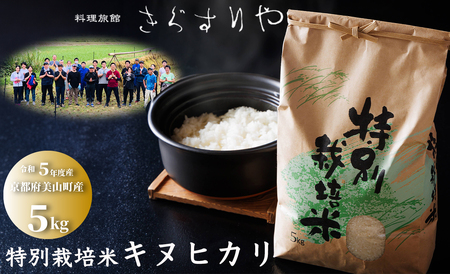 料理旅館きぐすりや 令和5年産 特別栽培米キヌヒカリ「きぐすりや米」5kg[高島屋選定品]