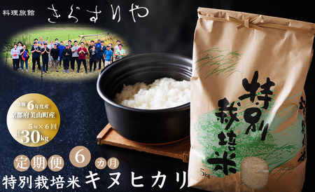 [新米][料理旅館きぐすりや][定期便6カ月コース] 特別栽培米キヌヒカリ「きぐすりや米」5kg[高島屋選定品]075N749[令和6年産新米予約]