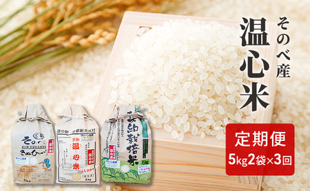   3 RVqJ LkqJ 񂰕 e 5kg ×2 ̂׎Y S 2025NxY  Hה 10kg 30kg Pꌴ Ђ ʂЂ Og    R s Еz 