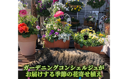 花 ガーデニングコンシェルジュがお届けする 季節の花 寄せ植え 鉢植え 鉢花 5〜7種 ガーデニング コンシェルジュ お花 京都