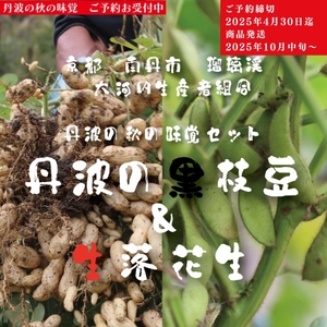 枝豆 京都 2026年 先行予約 黒枝豆 生落花生 るり渓 大河内生産組合発 丹波 野菜 国産 生 落花生 おつまみ えだまめ エダマメ 先行 ※北海道・沖縄・離島への発送不可