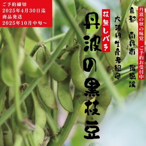 枝豆 京都 2026年 先行予約 丹波黒枝豆 バラ 約500g るり渓 大河内生産組合発 丹波 野菜 国産 生 黒枝豆 おつまみ えだまめ エダマメ 先行 ※北海道・沖縄・離島への発送不可