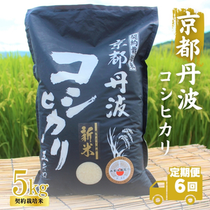 [6カ月定期便]令和6年産 京都丹波産 こしひかり 5kg 合計30kg