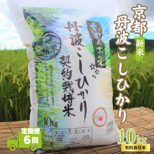 y6Jցzߘa7NY V sOgY Ђ 10kg v60kg     R RVqJ ߘa7N  ͂ s s{ Os 