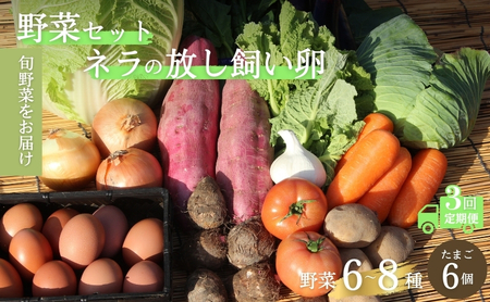 [定期便3回]野菜セット ネラの卵6個入り