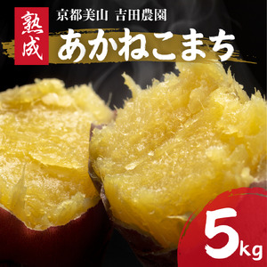 産地直送 さつまいも 5kg 熟成 あかねこまち 京都丹波産 [※予約商品25年12月より順次発送]