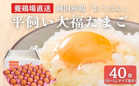 Yn 啟܂ 40