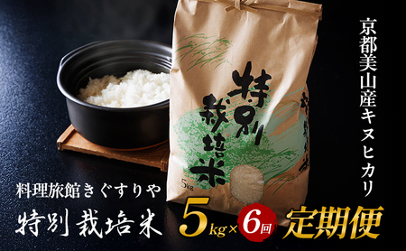 [先行予約]定期便 6回 料理旅館きぐすりや 令和7年産 特別栽培米キヌヒカリ 5kg