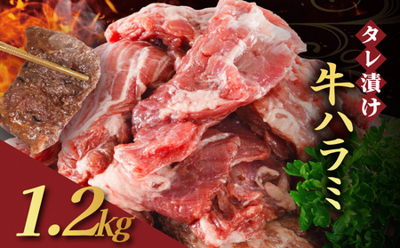 y󂠂z ^Ђ n~ 1.2kg 4P    n~ t ^ n~ BBQ o[xL[ Ă ē ēZbg AEghA Lv Mtg ^ pbN  300g  ȒP 