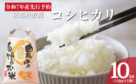 令和7年産 京都丹波産 コシヒカリ 10kg 白米