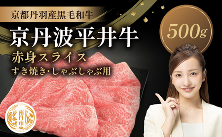 Yјa ԐgXCX 500g Ă Ԃ Og䋍 sOgY