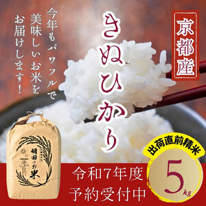 令和7年産新米 キヌヒカリ 5kg (精米) 明田のお米