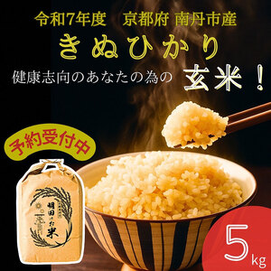 令和7年産新米 キヌヒカリ 5kg (玄米) 明田のお米