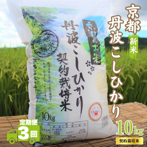 y3Jցzߘa7NY V sOgY Ђ 10kg v30kg