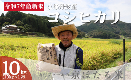 ߘa7NY V sOgY RVqJ 10kg t@[ ق