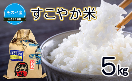 �����₩��5kg �ߘa7�N�x�Y