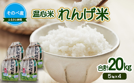 ��񂰕�20kg(5kg×4) �ߘa7�N�x�Y�@���̂׎Y ���S�� 20kg�@���� �P�ꌴ���� �����Ђ��� �O�g ���� ���� ���� �R�� ���s