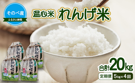 [定期便]れんげ米5kg×4回 合計20kg 令和7年度産 そのべ産 温心米 お米 単一原料米 こしひかり 丹波 精米 白米 こめ コメ 京都
